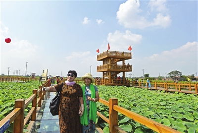 夏季天津周边自驾游的地方