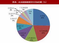 巴西成为中国新能源车最大出口市场