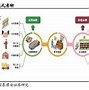 百果园集团末期股息派发对股东价值及市场影响分析